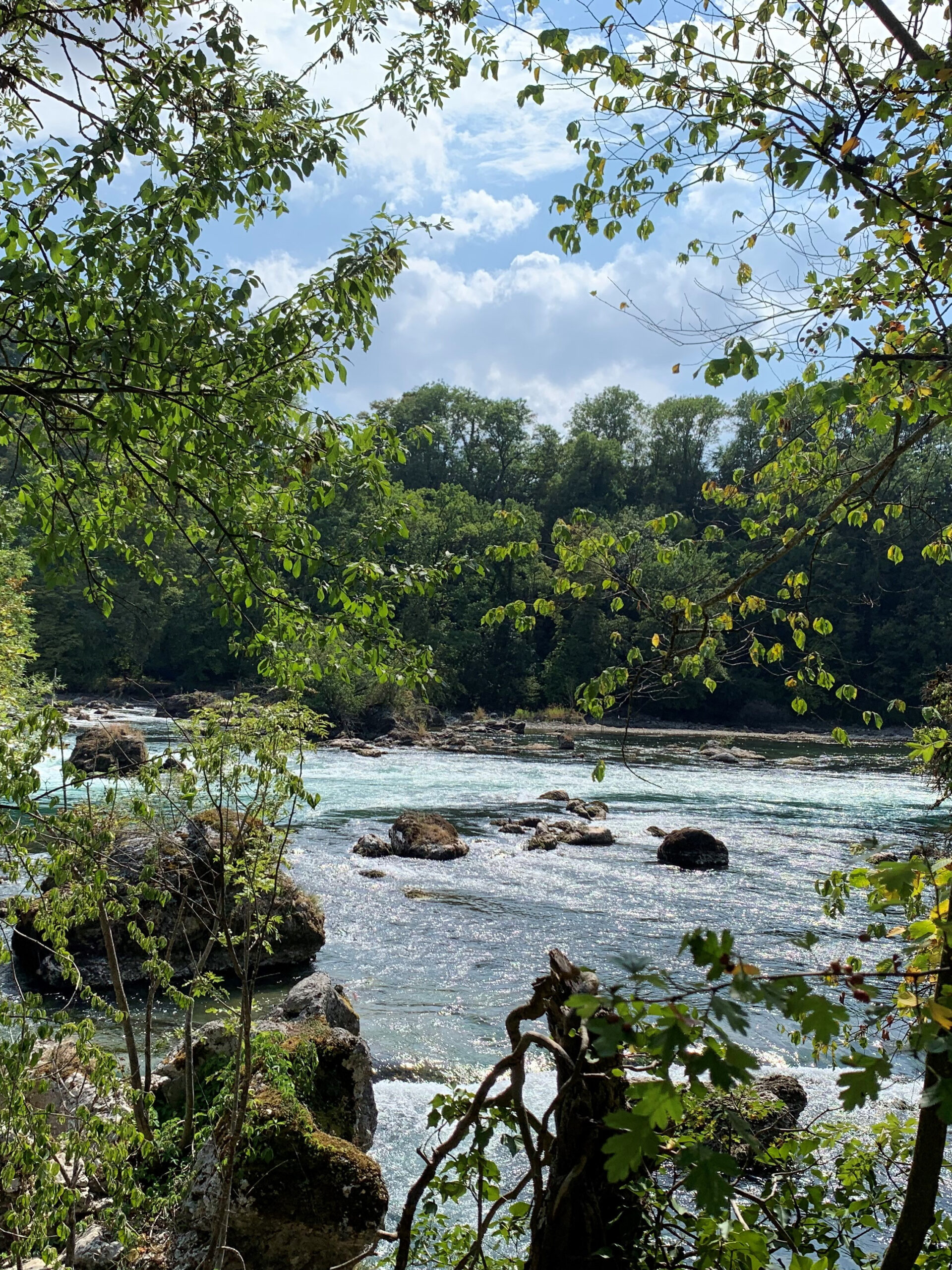 Oberhalb Rheinfall, Neuhausen