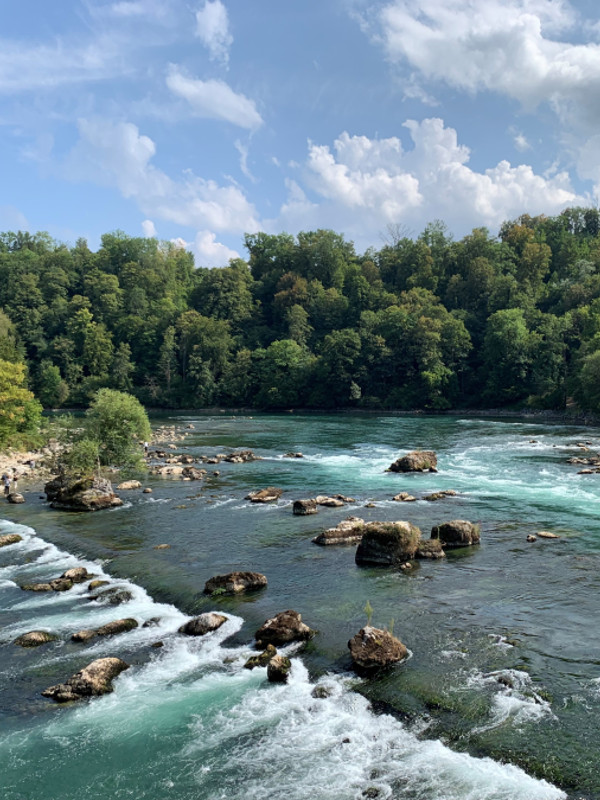 Rheinfall, Neuhausen